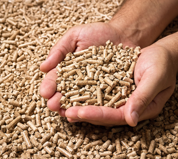 pellet
