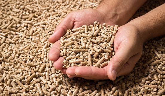 pellet